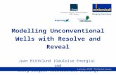 Modelling Unconventional Wells with Resolve and Reveal Juan Biörklund (Gauloise Energía) and Georg Ziegler (Wintershall Holding)