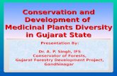 1 Conservation and Development of Medicinal Plants Diversity in Gujarat State Presentation By: Dr. A. P. Singh, IFS Conservator of Forests, Gujarat Forestry.