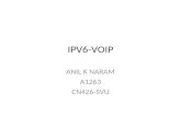 IPV6-VOIP ANIL K NARAM A1263 CN426-SVU. Introduction IPV4 IPV6 VOIP IPV4 to IPV6 Migration of VOIP to IPV6.