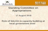 Standing Committee on Appropriations 17 August 2010 Role of SALGA in capacity building at local government level.