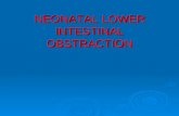 NEONATAL LOWER INTESTINAL OBSTRACTION. Lower GI Obstraction.