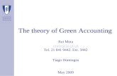 The theory of Green Accounting Rui Mota rmota@ist.utl.pt Tel. 21 841 9442. Ext. 3442 rmota@ist.utl.pt Tiago Domingos May 2009.