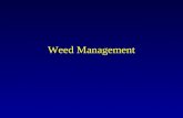 Weed Management. Weed Management Tools Rotation Fast, uniform growing crop Cultivation Herbicides.