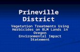 Prineville District Vegetation Treatments Using Herbicides on BLM Lands in Oregon Environmental Impact Statement.
