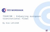 TOURISM : Enhancing european transnational flows By Kim LAFLEUR.