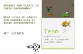 Team 2 Nadia Santos Jeanine Fitzgerald Jeanette Adon ANIMALS AND PLANTS IN THEIR ENVIRONMENT What roles do plants and animals play in their environments?