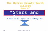 6/2002Copyright Edwin L. Young, PhD1 The Harris County Youth Village Home of *Stars and Stripes* A Natural Systems Program.