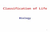 1 Classification of Life Biology. 2 Aristotle 384 BC Classified organisms as either plants or animals.