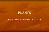 PLANTS PA State Standard 3.3.7 B. What are the basic types of plants? Nonvascular: Algae Algae Chlorophyta Chlorophyta Phaeophyta Phaeophyta Rhodophyta.