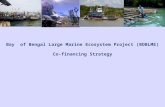 Bay of Bengal Large Marine Ecosystem Project (BOBLME) Co-financing Strategy.