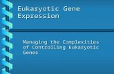 Eukaryotic Gene Expression Managing the Complexities of Controlling Eukaryotic Genes.