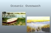 Oceanic Overwash. Beach Diagram Oceanic Overwash The washover fan is a fan-shaped accumulation of sand and shell that is deposited in a thin layer during.