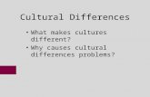 Cultural Differences What makes cultures different? Why causes cultural differences problems?