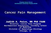Cancer Pain Management Judith A. Paice, RN PhD FAAN Director, Cancer Pain Program Northwestern University, Feinberg School of Medicine Division of Hematology-Oncology.