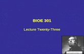 BIOE 301 Lecture Twenty-Three. Clear Up the Muddiest Point(s)