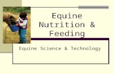 Equine Nutrition & Feeding Equine Science & Technology.