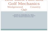 DANIEL B. LEONARD, D.C. ART® FARABAUGH CHIROPRACTIC OFFICE 2879 E. DUBLIN GRANVILLE RD. Low Back Pain and Golf Mechanics Wedgewood Country Club.