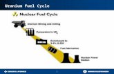 Uranium Fuel Cycle 1. 2 Conventional Mining: Underground/Open Pit Ranger, Australia, Northern Territories Olympic Dam, South Australia.