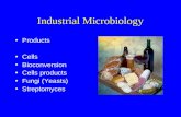 Industrial Microbiology Products Cells Bioconversion Cells products Fungi (Yeasts) Streptomyces.