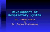 Development of Respiratory System Dr. Saeed Vohra & Dr. Sanaa Alshaarawy.