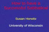 How to have a Successful Sabbatical Susan Horwitz University of Wisconsin.