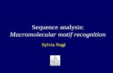 Sequence analysis: Macromolecular motif recognition Sylvia Nagl.