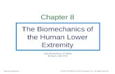 Chapter 8 The Biomechanics of the Human Lower Extremity Basic Biomechanics, 6 th edition By Susan J. Hall, Ph.D. © 2012 The McGraw-Hill Companies, Inc.