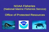 NOAA Fisheries (National Marine Fisheries Service) Office of Protected Resources.