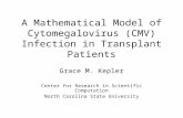 A Mathematical Model of Cytomegalovirus (CMV) Infection in Transplant Patients Grace M. Kepler Center for Research in Scientific Computation North Carolina.