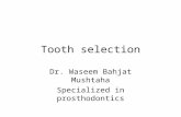 Tooth selection Dr. Waseem Bahjat Mushtaha Specialized in prosthodontics.