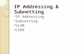 IP Addressing & Subnetting  IP Addressing  Subnetting  VLSM  CIDR.