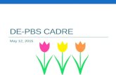 DE-PBS CADRE May 12, 2015. WEBSITE ORIENTATION .