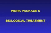 WORK PACKAGE 5 BIOLOGICAL TREATMENT. PARTICIPANTS:  Lqars  Cemagref  Tratolixo PERIOD: 1 – 24 (Months)