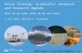 Pulse fishing: scientific research and Research Agenda What do we know, what do we not know? 2 July 2015, Adriaan D. Rijnsdorp adriaan.rijnsdorp@wur.nl.