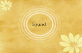 Sound Overview The Facts of Sound The Ear and Sound Sound Vocabulary Musical Instruments and Sound