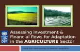 Assessing Investment & Financial flows for Adaptation in the AGRICULTURE Sector UNDP I&FF Methodology Guidebook: Adaptation.