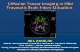 Diffusion Tensor Imaging in Mild Traumatic Brain Injury Litigation Hal S. Wortzel, MD Director, Neuropsychiatric Consultation Services and Psychiatric.