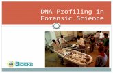 DNA Profiling in Forensic Science. Introduction DNA Profiling is the analysis of DNA samples to determine if they came from the same individual. Since.