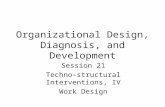 Organizational Design, Diagnosis, and Development Session 21 Techno-structural Interventions, IV Work Design.