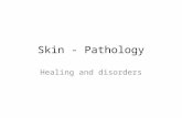 Skin - Pathology Healing and disorders. Wound healing InflammationClot formationClot removal Growth of epithelial layer Fibrous tissue Scar formation.