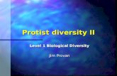 Protist diversity II Level 1 Biological Diversity Jim Provan.