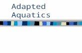 Adapted Aquatics. Why the Water? What are some possible benefits of including aquatics for student with disabilities? –Focus your responses more for a.
