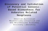 Discovery and Validation of Potential Genomic-Based Biomarkers for Asbestos Related Neoplasms American Australian Mesothelioma Consortium and NYU Mesothelioma.