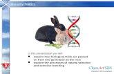 Heredity Traits 1 ClassAct SRS enabled. In this presentation you will: explore how biological traits are passed on from one generation to the next explore.
