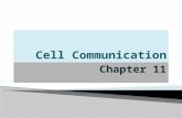 Chapter 11.  Cell-to-cell communication is essential for both multicellular and unicellular organisms  Biologists have discovered some universal mechanisms.
