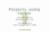 Projects using Cactus Gabrielle Allen gallen@cct.lsu.edu Cactus Retreat Baton Rouge, April 2004.