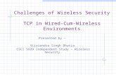 Challenges of Wireless Security TCP in Wired-Cum-Wireless Environments Presented by – Vijaiendra Singh Bhatia CSCI 5939 Independent Study – Wireless Security.