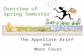 Overview of Spring Semester The Appellate Brief and Moot Court.