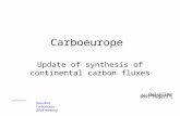 Carboeurope Update of synthesis of continental carbon fluxes Dourdan carboocean 2008 meeting.