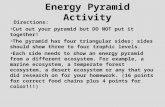 Energy Pyramid Activity Directions: Cut out your pyramid but DO NOT put it together! The pyramid has four triangular sides; sides should show three to.